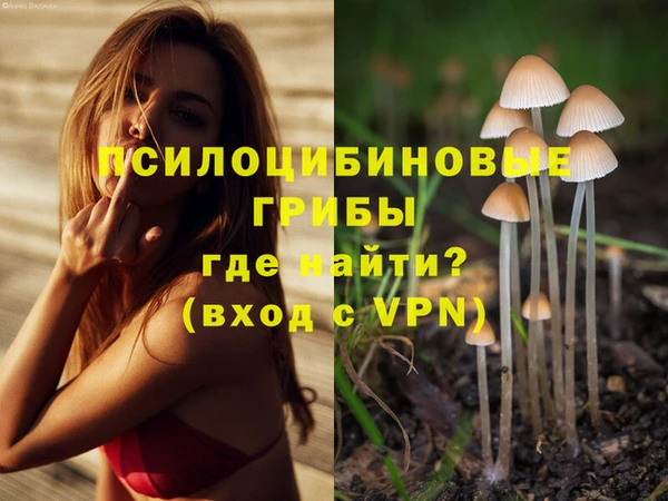 таблы Шадринск