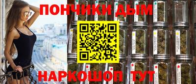 молекула духа Будённовск