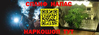герыч Камышлов