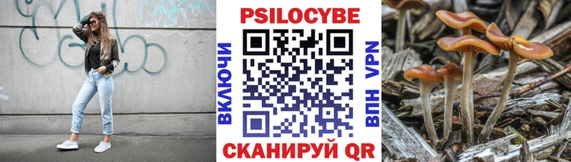 Псилоцибиновые грибы ЛСД Волоколамск