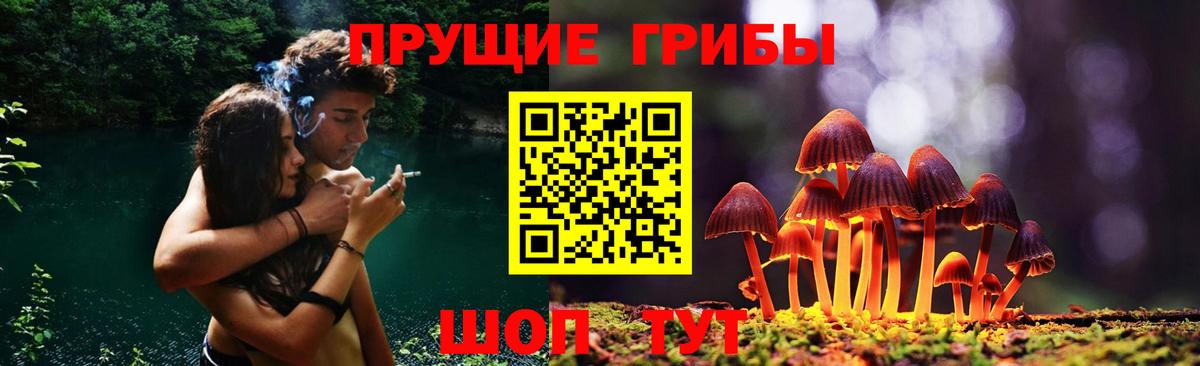 Псилоцибиновые грибы мухоморы Волоколамск